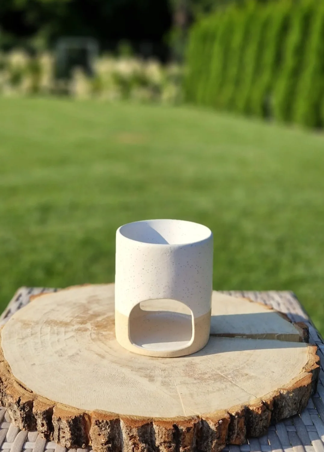 Flowerbox S mini pąki i 3 róże beżowe